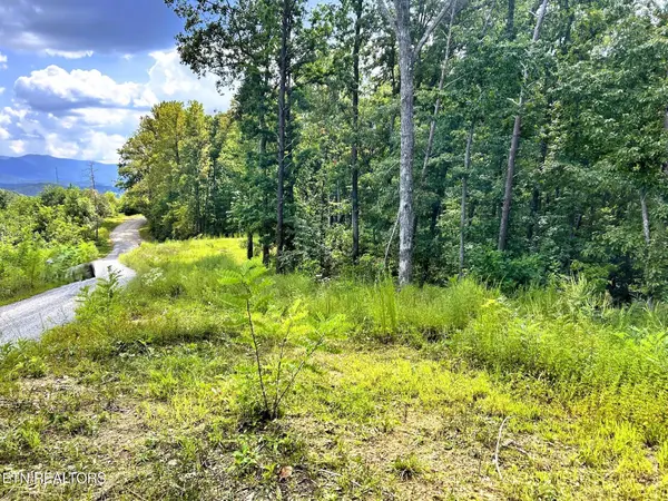 125 Chestnut Mountain Rd, Reliance, TN 37369