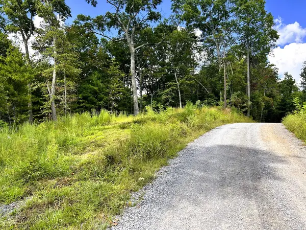107125 Chestnut Mountain Road, Reliance, TN 37369