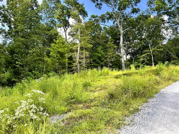 107125 Chestnut Mountain Road, Reliance, TN 37369