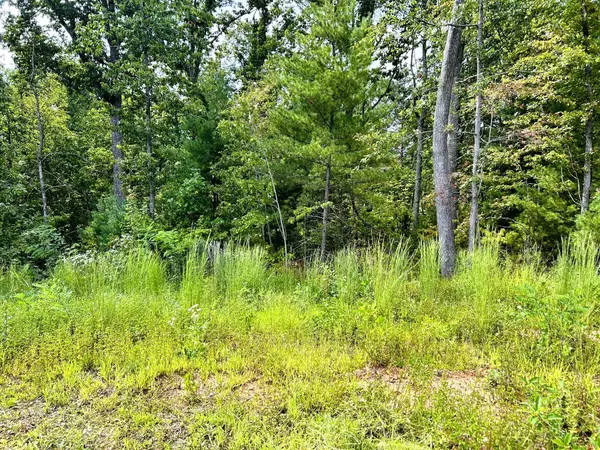 107125 Chestnut Mountain Road, Reliance, TN 37369