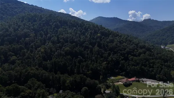 101 ± Acres Timbersong DR, Weaverville, NC 28787