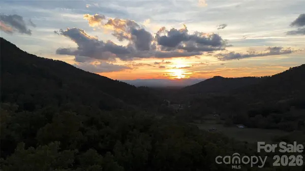 101 ± Acres Timbersong DR, Weaverville, NC 28787