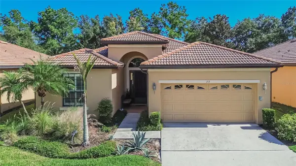 213 SILVER FALLS DR, Apollo Beach, FL 33572
