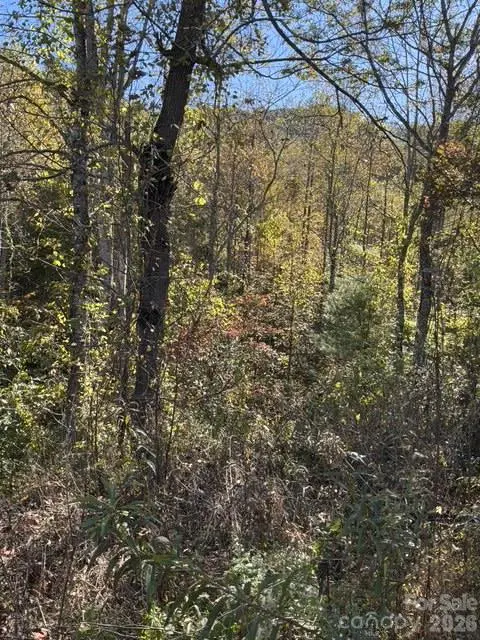 447 Hog Rock RD, Hendersonville, NC 28792