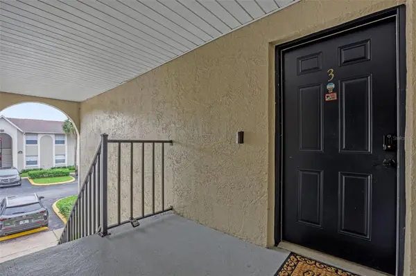 4312 HECTOR CT #3, Orlando, FL 32822