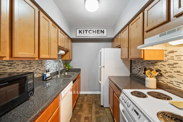 938 North BLVD #204, Oak Park, IL 60301
