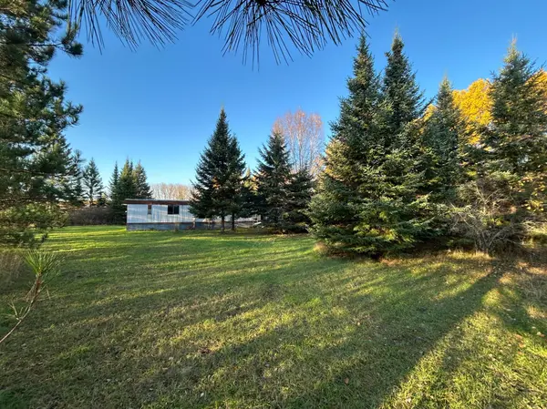 10629 Town Rd 34, Mizpah, MN 56660