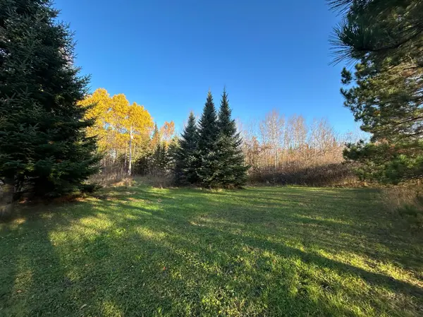 10629 Town Rd 34, Mizpah, MN 56660