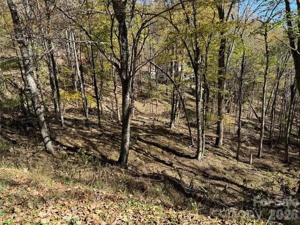 22 Trillium LN #22, Mars Hill, NC 28754