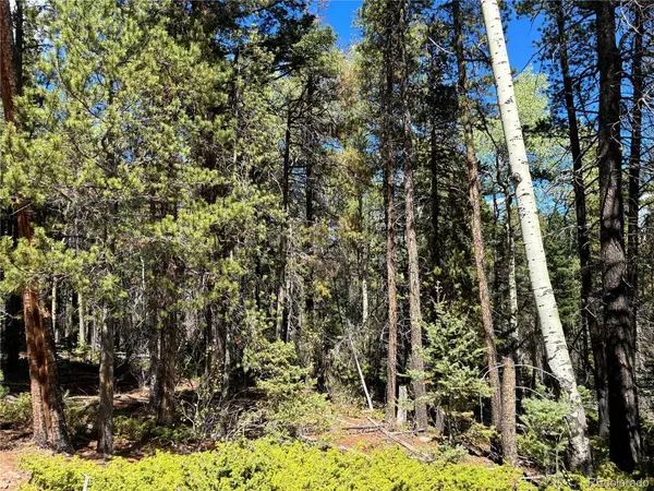 3307 Grojean, Fort Garland, CO 81133