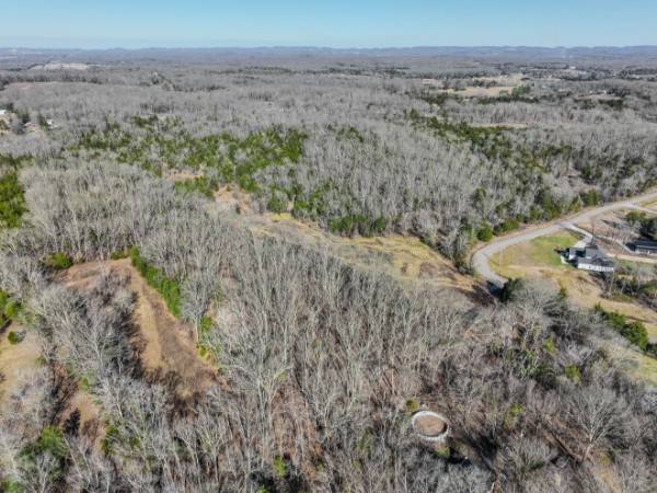 0 Lasea Rd, Spring Hill, TN 37174