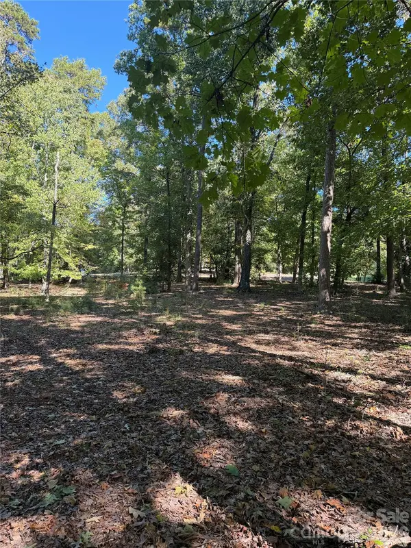 116 Long Cove None, New London, NC 28127