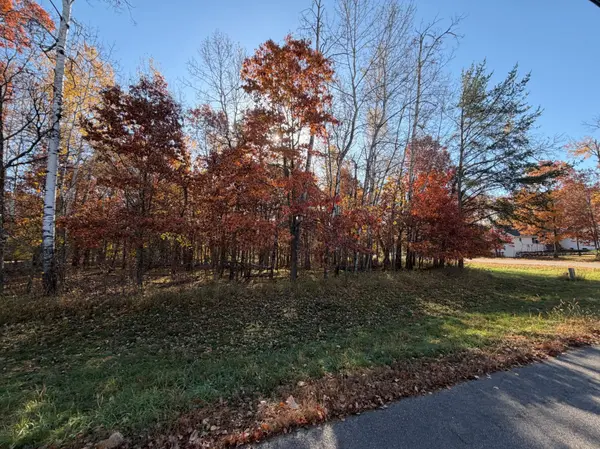 L1 B3 Paper Birch Drive, Baxter, MN 56425