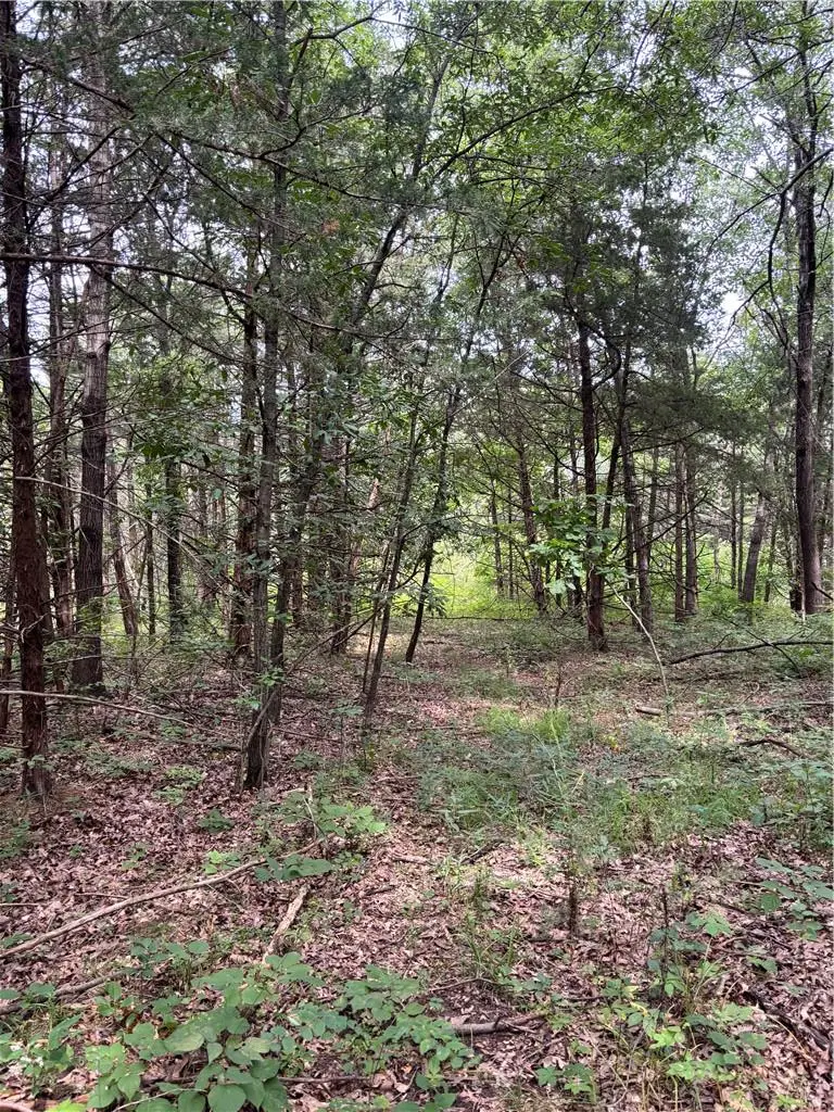 Juniper Avenue AVE, Other, MO 64499