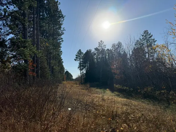 93359 Mn-23, Holyoke, MN 55749