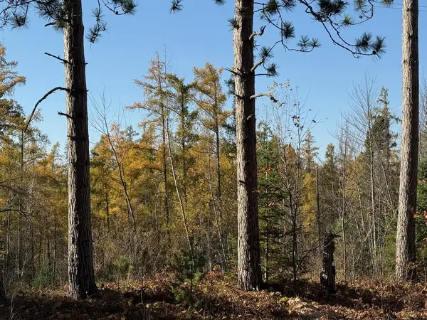 93359 Mn-23, Holyoke, MN 55749