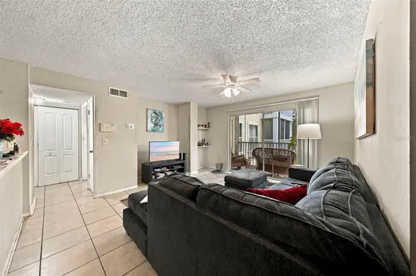 10020 STRAFFORD OAK CT #914, Tampa, FL 33624