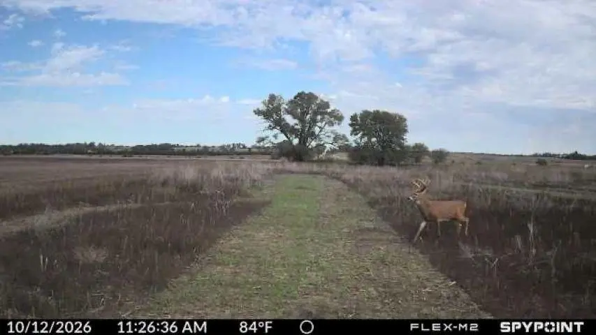 0000 5th Road, Raymond, KS 67573