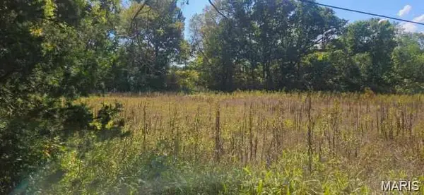 0 Brushy Creek RD, Houston, MO 65483
