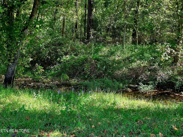 2285 Douglas Dam Rd, Sevierville, TN 37876