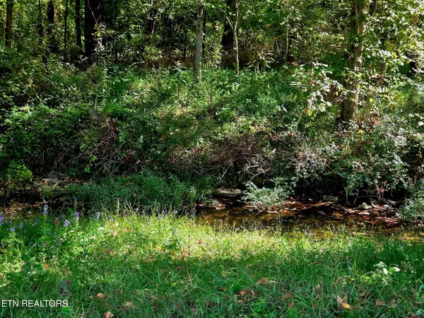 2285 Douglas Dam Rd, Sevierville, TN 37876