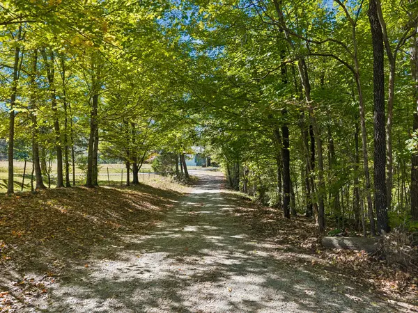 3490 Shouse Rd, Santa Fe, TN 38482
