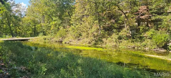 000 Brushy Creek RD, Houston, MO 65483