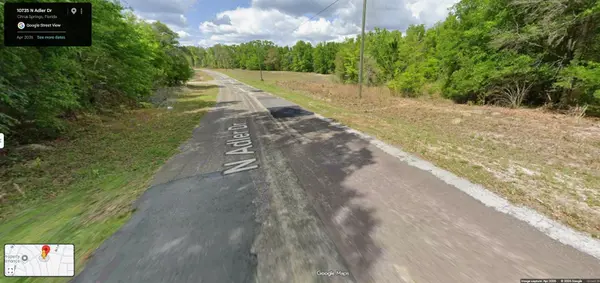 10735 N ADLER DR, Citrus Springs, FL 34434