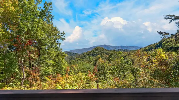 4476 Whetstone Rd, Sevierville, TN 37862