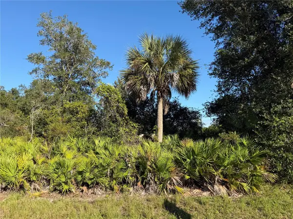 13499 ELEANOR AVE, Port Charlotte, FL 33953