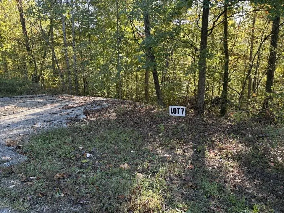 7 Slaughter Rd #N, Primm Springs, TN 38476