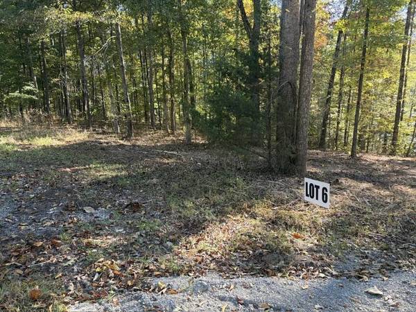 6 Slaughter Rd, Primm Springs, TN 38476