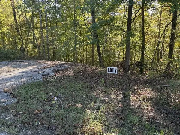 7 Slaughter Rd #N, Primm Springs, TN 38476