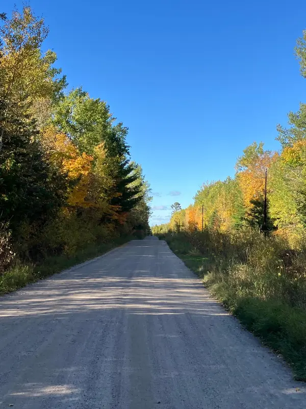 49092 Empty Bar Loop, Deer River, MN 56636