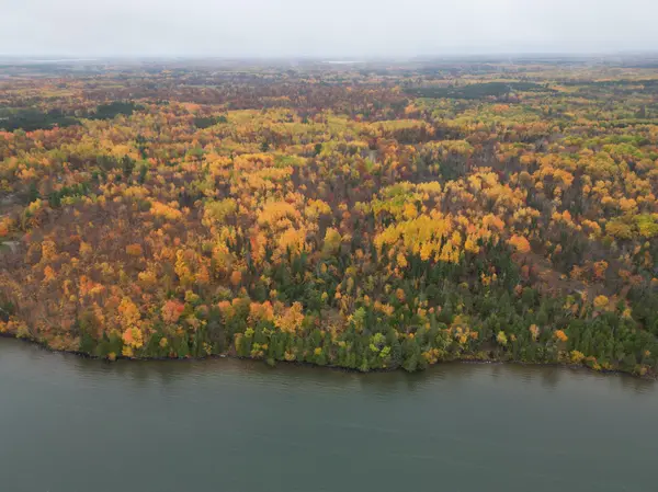 Lot 8 County Rd 39 NE, Longville, MN 56655