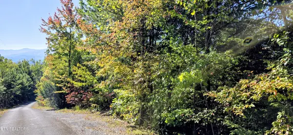 90 Mountain Blvd, Sevierville, TN 37876
