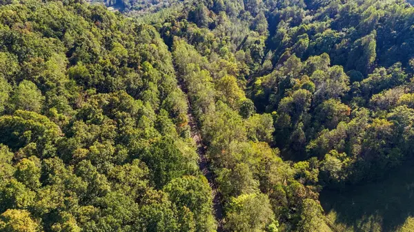 0 John Barnes Rd, Cornersville, TN 37047