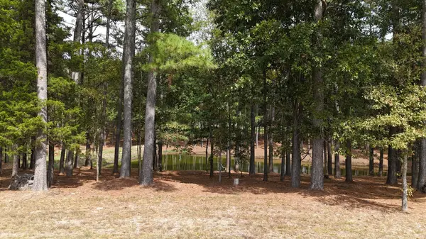 0 Tom Rail Road, Santa Fe, TN 38482