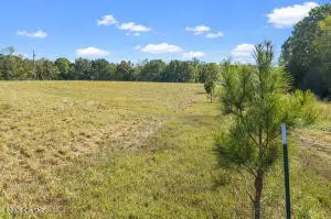 0 Presley Ridge Rd, Scotts Hill, TN 38374