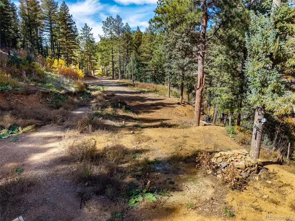 14990 Timber Ridge, Weston, CO 81091