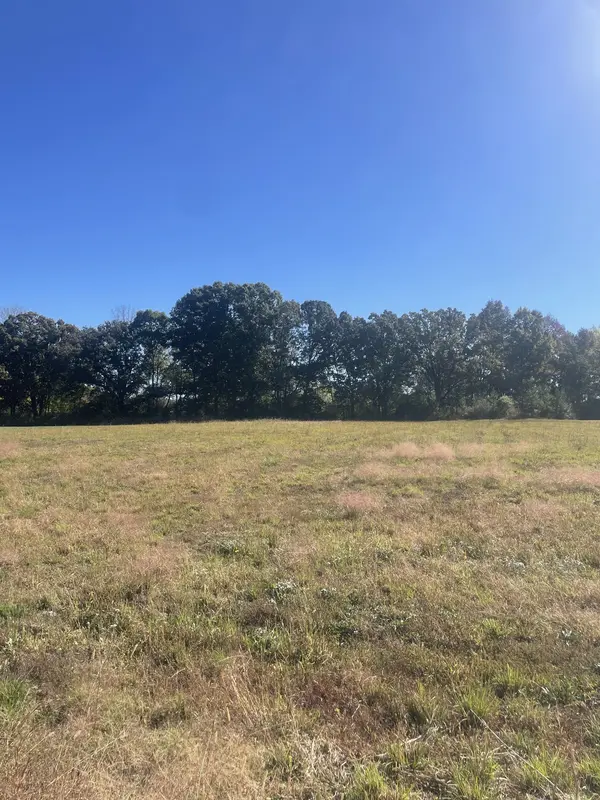 0 Hurst Dr, Leoma, TN 38468