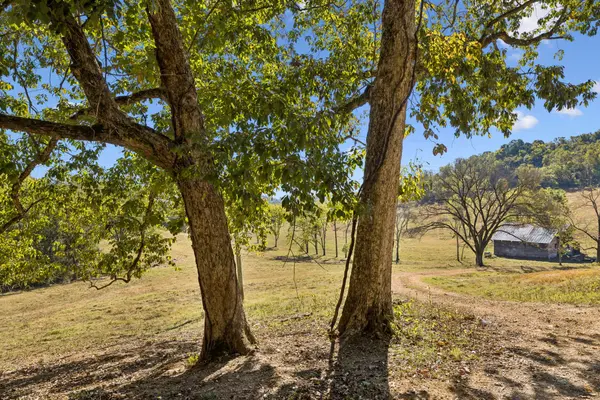 4704 Allen Harlan Rd, Hampshire, TN 38461
