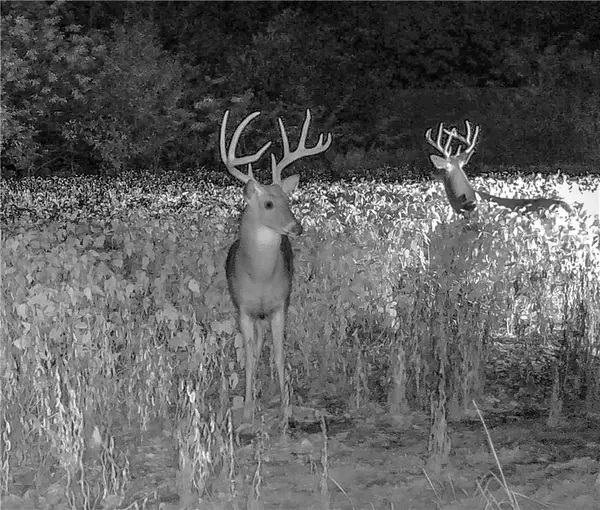 SW County 13007 RD, Hume, MO 64752