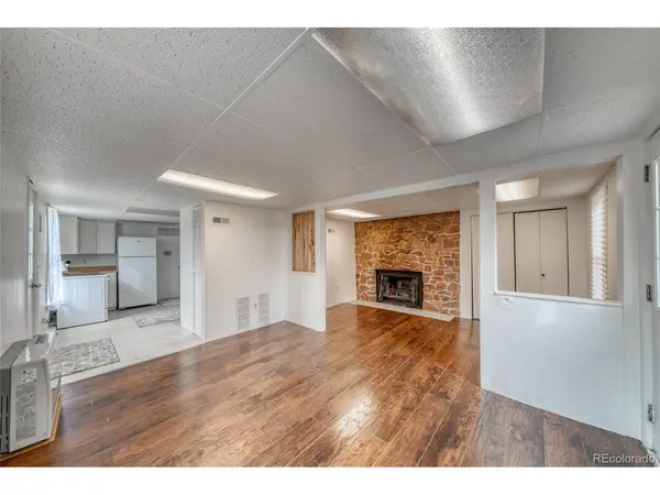 313 E Carr, Cripple Creek, CO 80813