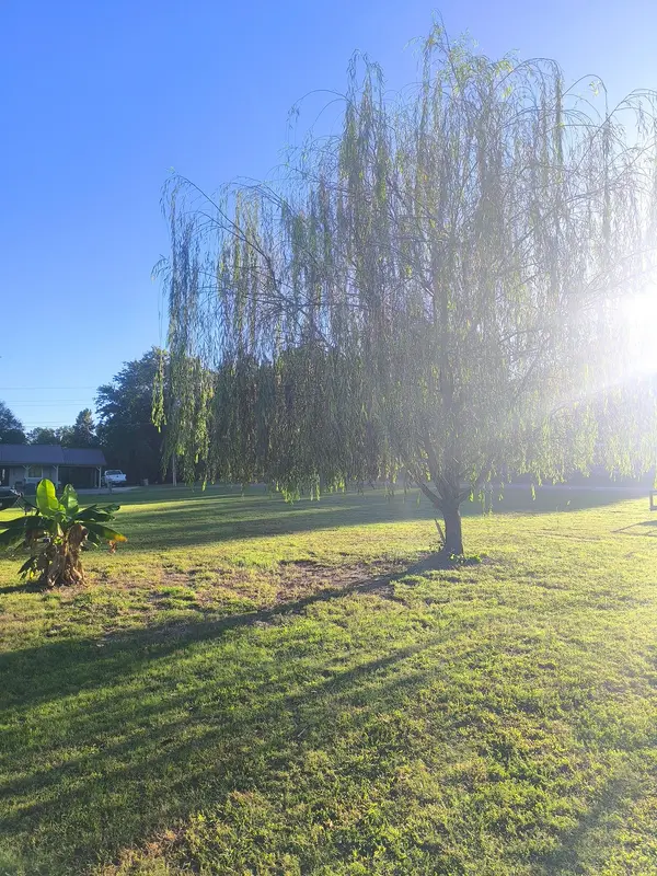 302 Mathis Ave, Obion, TN 38240