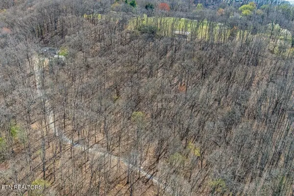 0 Fawn Rest Drive, Rockwood, TN 37854