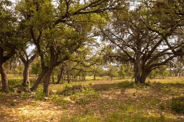 2390 Prochnow RD, Dripping Springs, TX 78620