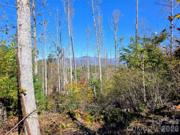 00 Big Brush Creek RD, Green Mountain, NC 28740