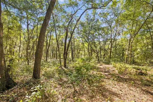 TBD SE 160 COURT RD, Ocklawaha, FL 32179