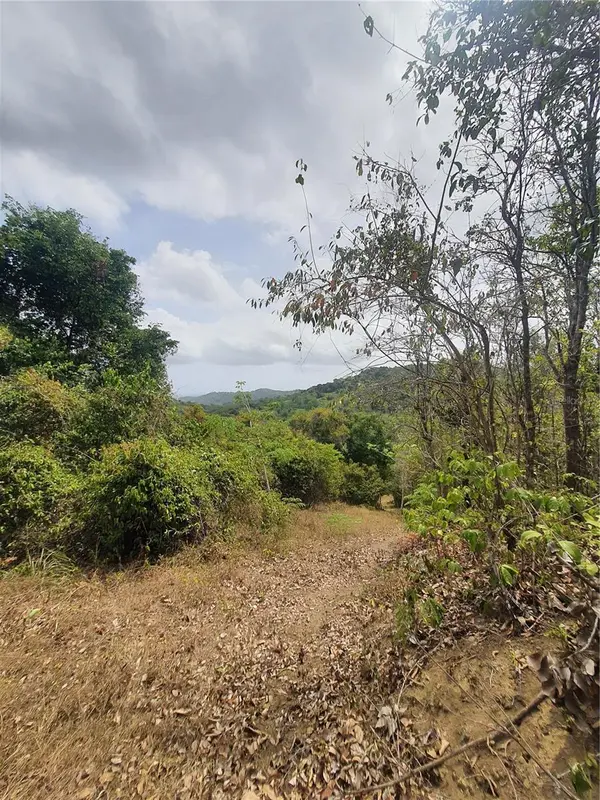 PR-853 INTERIOR CACAO WARD #LOT 7, Carolina, PR 00987